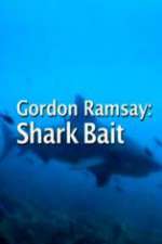 Watch Gordon Ramsay: Shark Bait 2KMovies