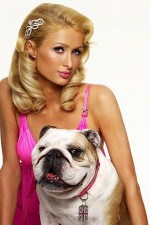 Watch Paris Hilton's British Best Friend 2KMovies