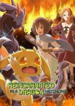 Watch Reincarnated as a Dragon Hatchling 2KMovies