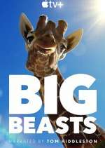 Watch Big Beasts 2KMovies