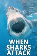 Watch When Sharks Attack 2KMovies