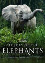 Watch Secrets of the Elephants 2KMovies