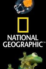 Watch Nat Geo Amazing! 2KMovies