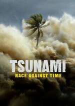 Watch Tsunami: Race Against Time 2KMovies