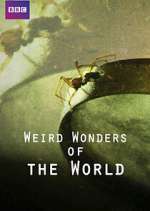 Watch Weird Wonders of the World 2KMovies