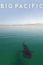 Watch Big Pacific 2KMovies