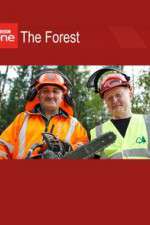 Watch The Forest 2KMovies