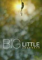 Watch Big Little Journeys 2KMovies
