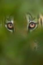 Watch Deadly Instincts 2KMovies