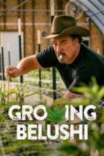 Watch Growing Belushi 2KMovies