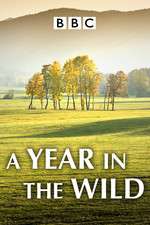 Watch A Year in the Wild 2KMovies