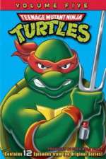 Watch Teenage Mutant Ninja Turtles 2KMovies