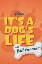 Watch It\'s a Dog\'s Life with Bill Farmer 2KMovies