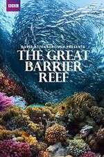 Watch Great Barrier Reef with David Attenborough 2KMovies