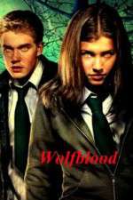 Watch Wolfblood 2KMovies