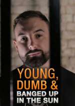 Watch Young Dumb & Banged Up in the Sun 2KMovies