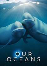 Watch Our Oceans 2KMovies