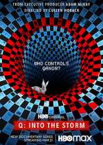 Watch Q: Into the Storm 2KMovies