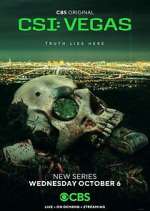 Watch CSI: Vegas 2KMovies