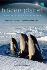 Watch Frozen Planet 2KMovies