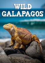 Watch Wild Galapagos 2KMovies