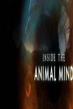 Watch Inside the Animal Mind 2KMovies