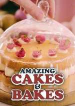 Watch Amazing Cakes & Bakes 2KMovies