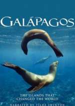 Watch Galapagos 2KMovies