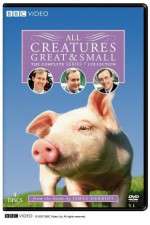 Watch All Creatures Great and Small 2KMovies