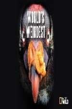 Watch National Geographic Worlds weirdest 2KMovies