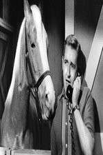 Watch Countdown to... 2KMovies