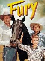 Watch Fury 2KMovies
