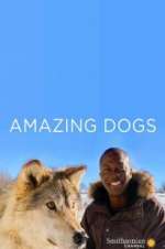 Watch Amazing Dogs 2KMovies
