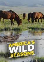 Watch America's Wild Seasons 2KMovies