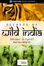 Watch Secrets of Wild India 2KMovies