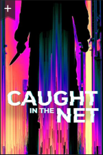 Watch Caught in the Net 2KMovies