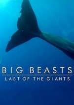 Watch Big Beasts: Last of the Giants 2KMovies