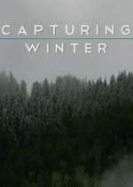 Watch Capturing Winter 2KMovies