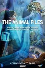 Watch The Animal Files 2KMovies
