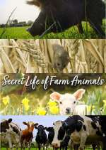 Watch Secret Life of Farm Animals 2KMovies