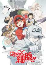 Watch Cells at Work! 2KMovies