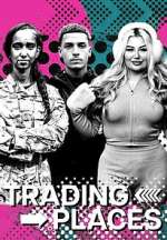 trading places tv poster