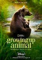 Watch Growing Up Animal 2KMovies