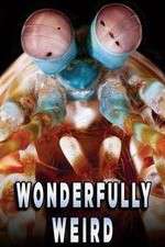 Watch Wonderfully Weird 2KMovies