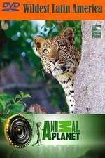 Watch Wildest Latin America 2KMovies