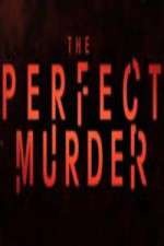 Watch The Perfect Murder 2KMovies