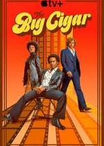 Watch The Big Cigar 2KMovies