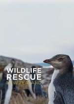 Watch Wildlife Rescue New Zealand 2KMovies