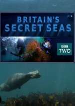 Watch Britain's Secret Seas 2KMovies