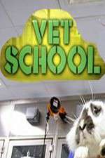 Watch Vet School 2KMovies